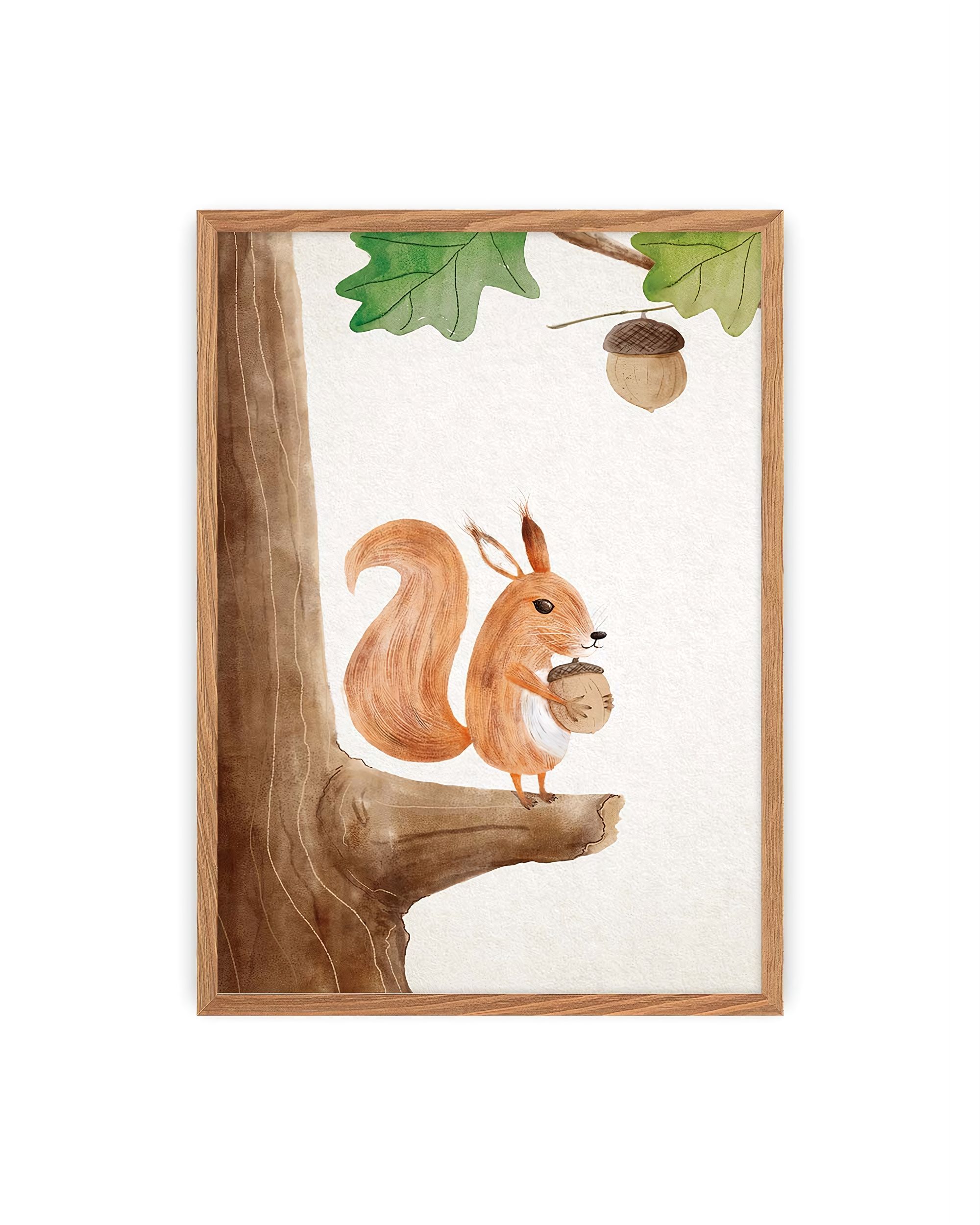 Obrázek Forest Story Squirrel
