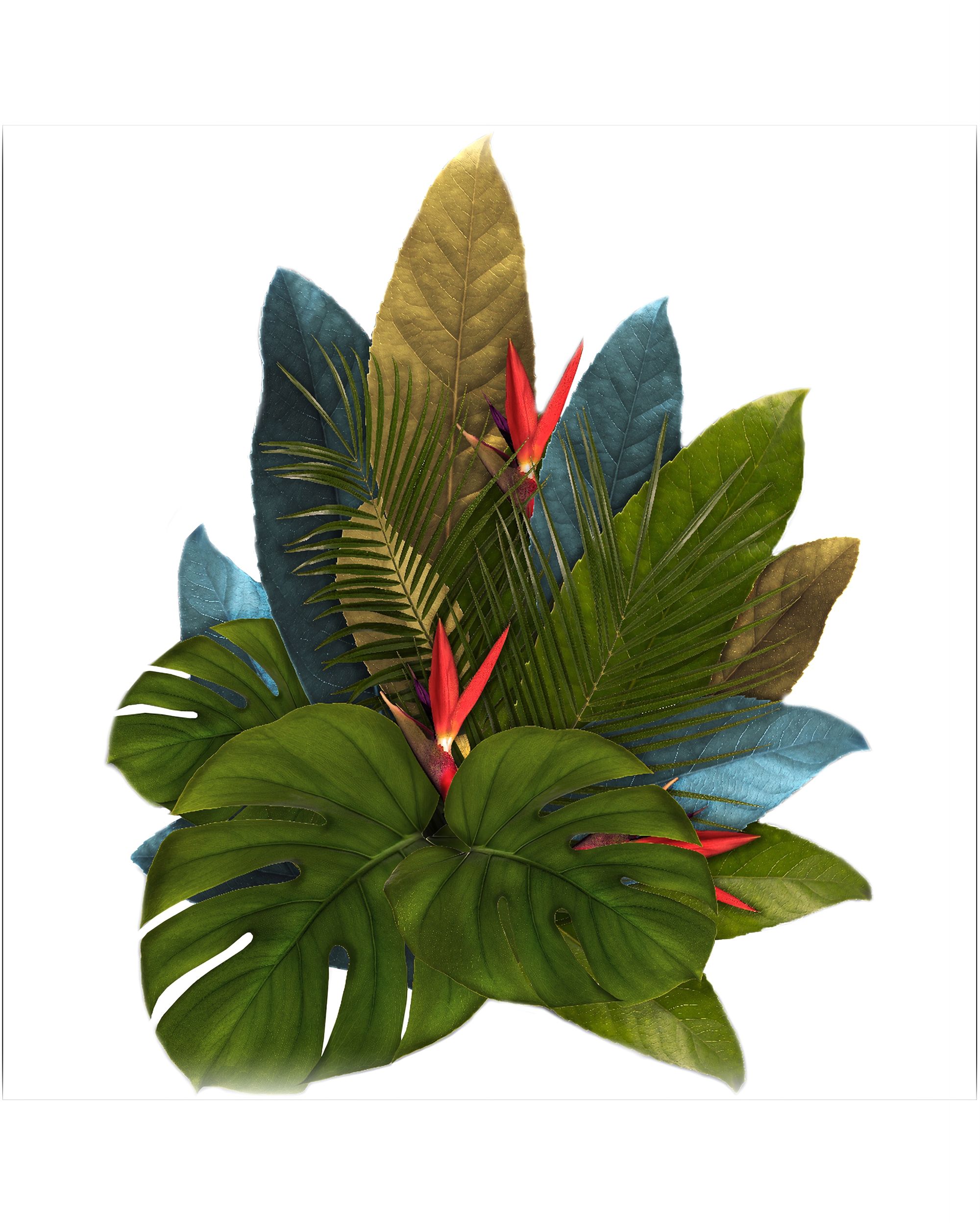 Samolepka Jungle Leaves